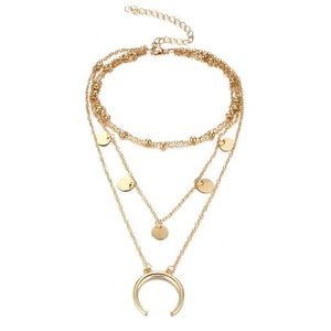 Round Disc Horn Necklace